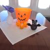 IMG 1291