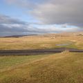 DSC02500
