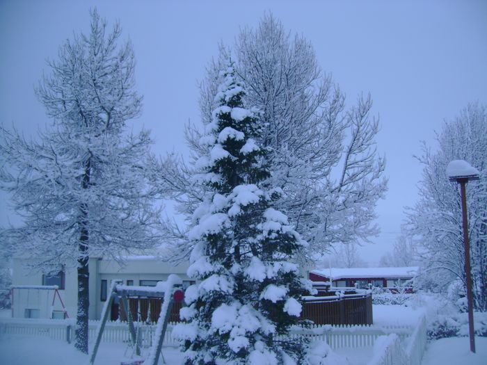 16 Janra 2009 Akureyri