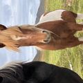 img 1072 1456717