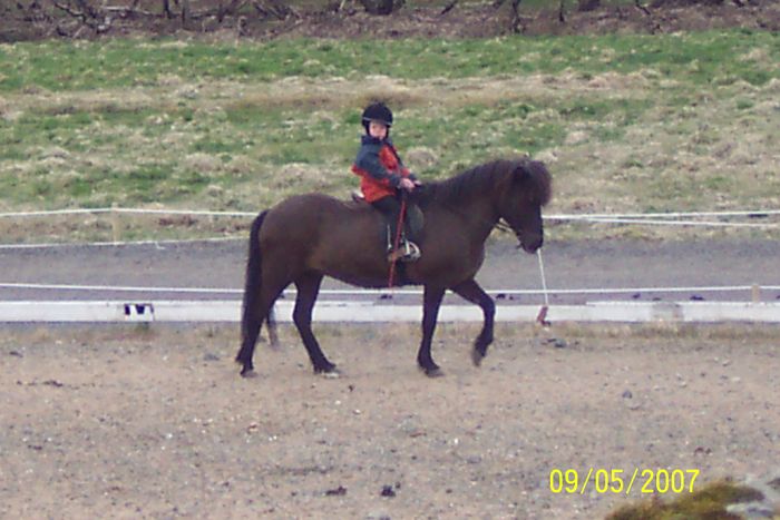 Inga  reinmskeii 2007