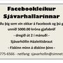 Facebookleikur Sjávarhallarinnar