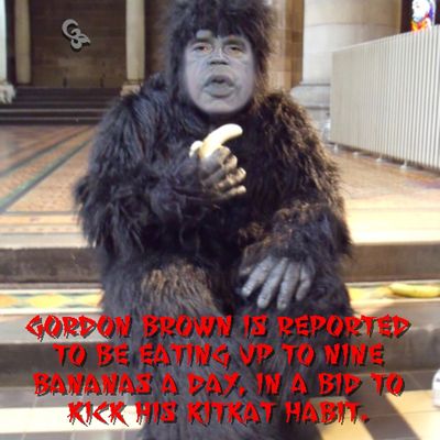 gordon brown is a gorilla