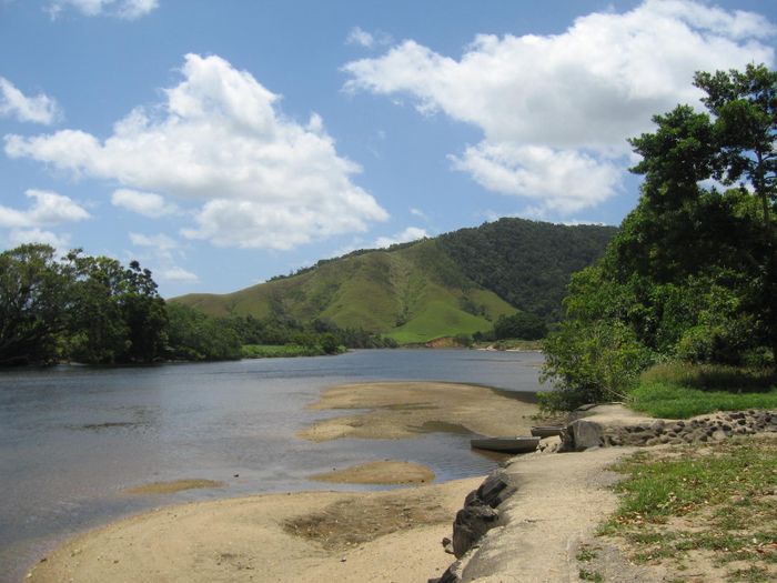 Daintree river