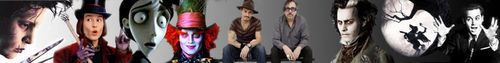 banner-with-mad-hatter-johnny-depp-tim-burton-films-7833053-800-100.jpg