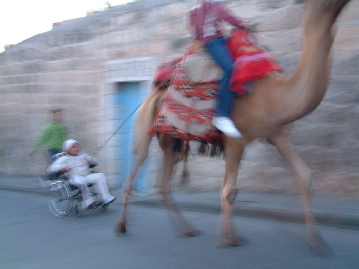 CAMEL  POWER