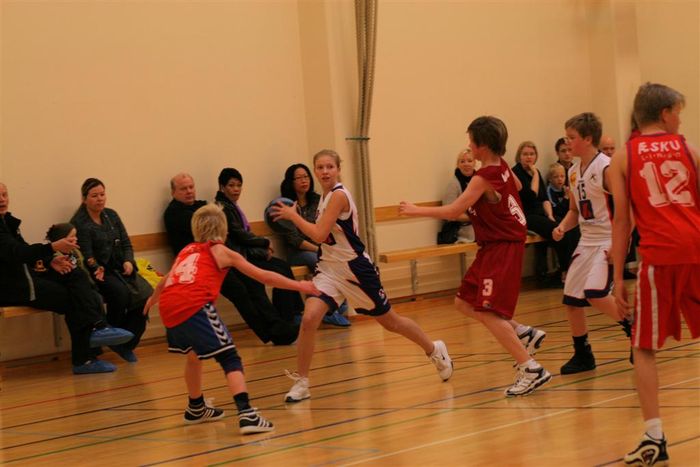 IMG 4757 (Large)
