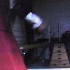 wALLfLPPd