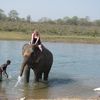 Chitwan National Park 008