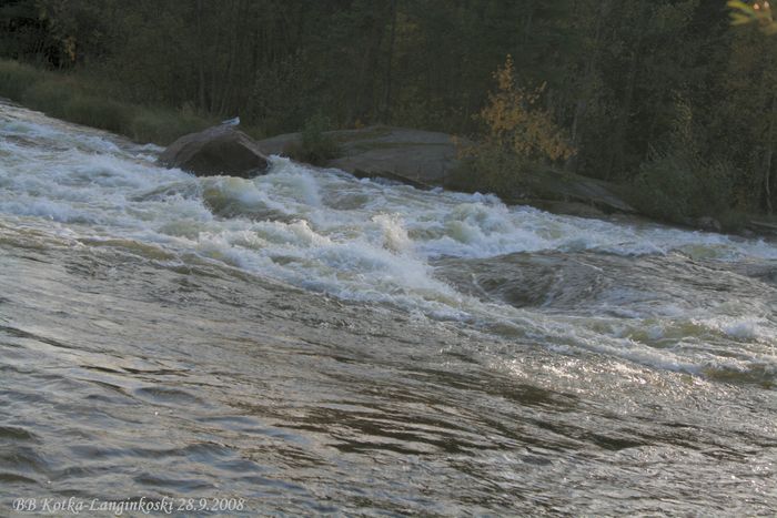 Langinkoski (26)