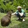 Pètur ad klappa Charlie capybara