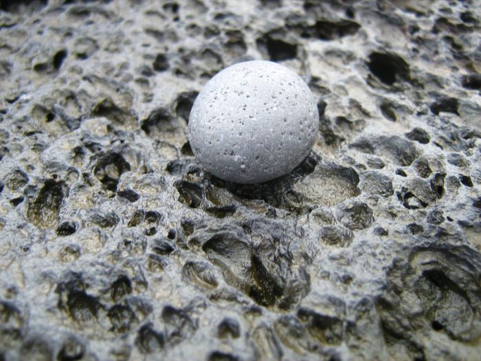 img 1564.jpg