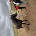 img 0727