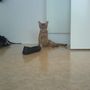 Hihi... ohhh I´m sooo exhausted after all the fun I had!!!