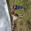 img 0613 1455516