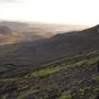 dsc01895 320318.jpg