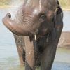 Chitwan National Park 039