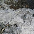 IMG 0045