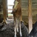 img 0020 1454267