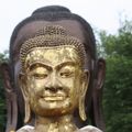 2008 07 28 0852