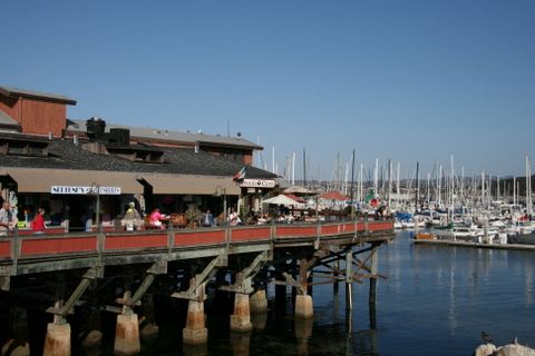 Fiskimannahfin  Monterey