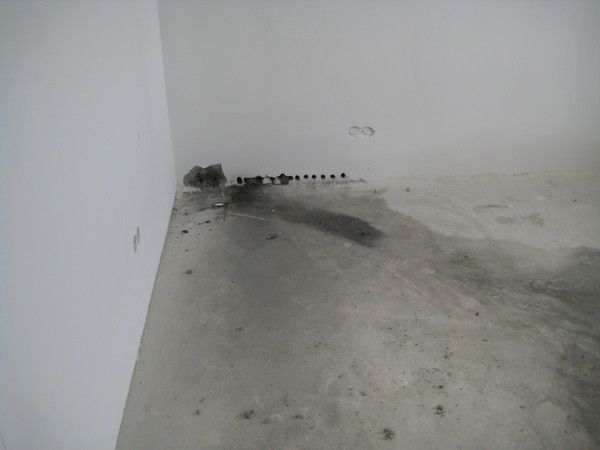 IMG 0015