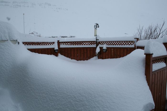 a verur ekki Grilla hr  nstunni