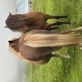 img 0069 1454539