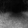 path to immortality