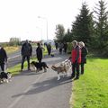 IMG 8799