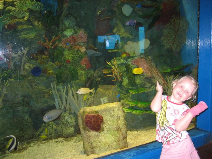 img 1870.jpg
