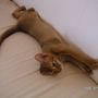 streeeeching