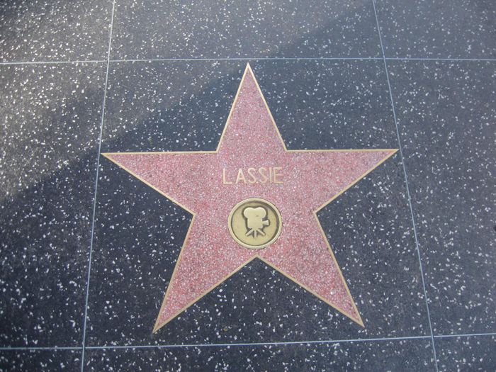 LASSIE