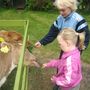 img 1508.jpg