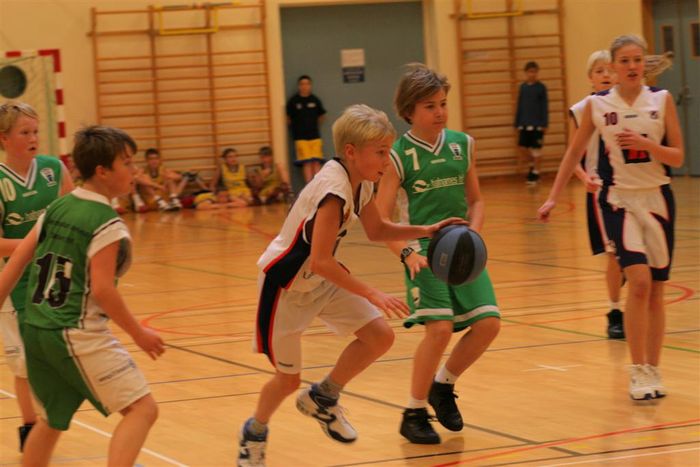 IMG 4815 (Large)