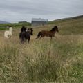 img 0926