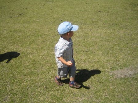 A tired little man in Crescent Island