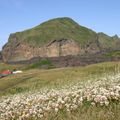Heimaklettur