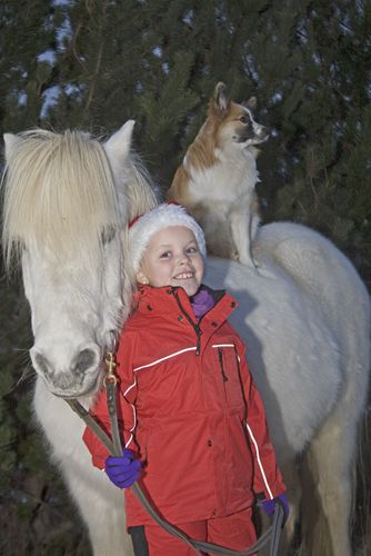 Kuldi, Maranna Sl og Ugla