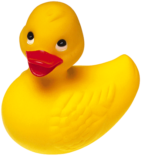 rubber duck.gif