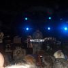 Animal Collective