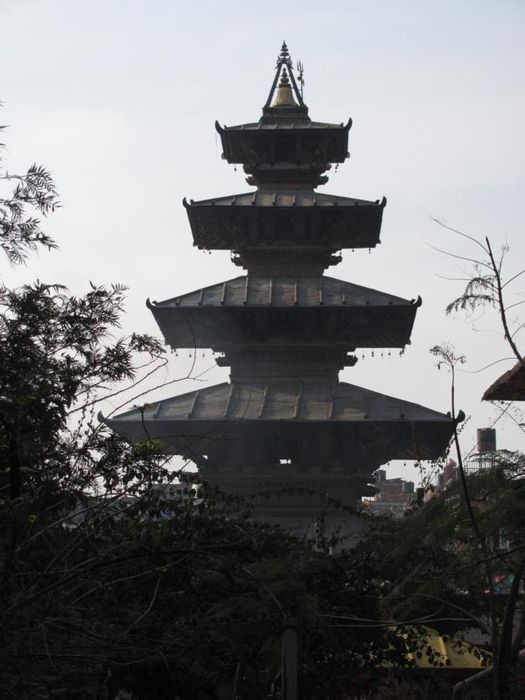 Kathmandu and Chitwan 140