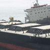 ship fedra gibraltar