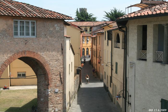 Lucca (5)