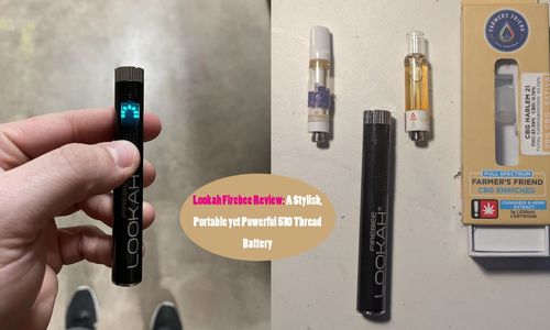 lookah-firebee-review