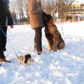 IMG 6648