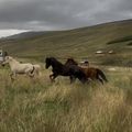 img 0935