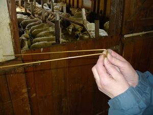 dowsing in stable 4