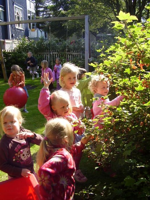 laufasborg31060821241.jpg