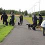IMG 8795